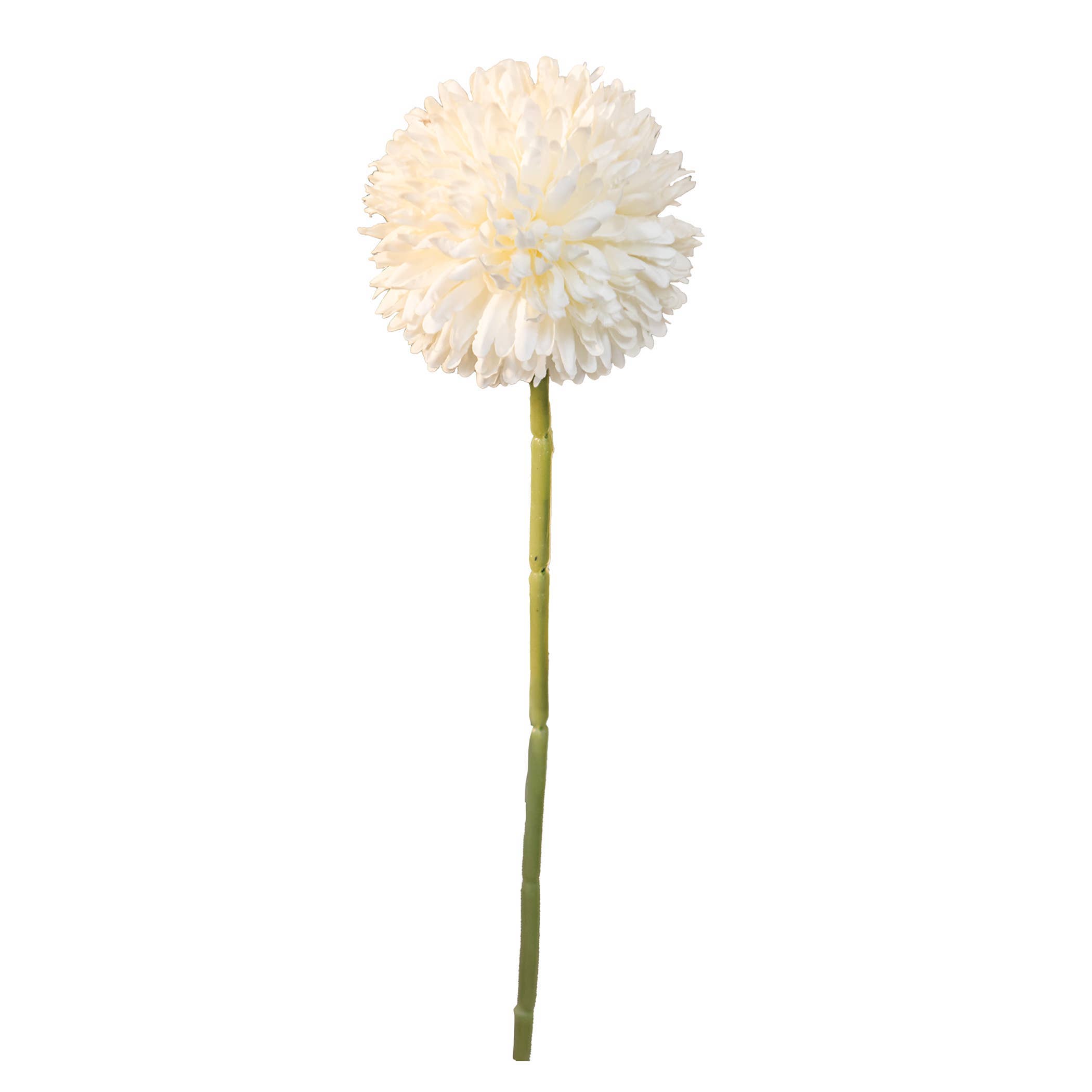 Pompom Stem, Wh