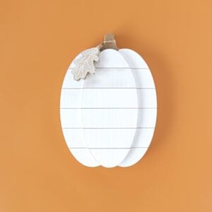 Chunky pumpkin-Lg.